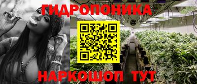 ALPHA PVP Ачхой-Мартан