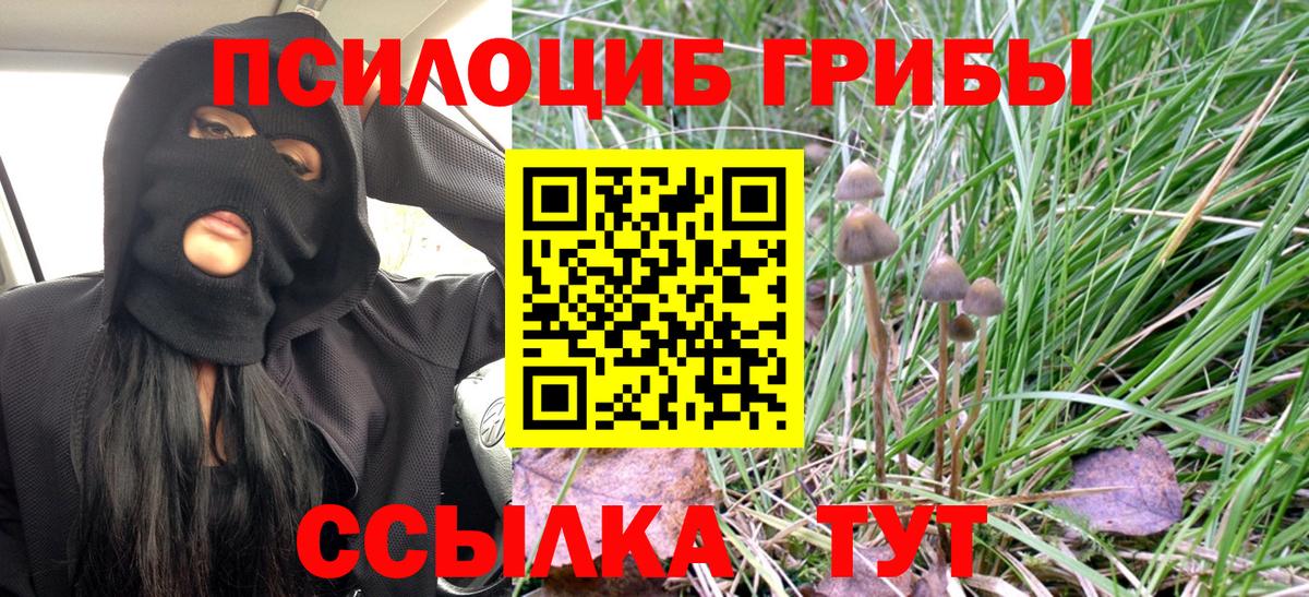 Галлюциногенные грибы GOLDEN TEACHER  Галлюциногенные грибы ЛСД  Вход с VPN  купить наркотик  Благодарный 